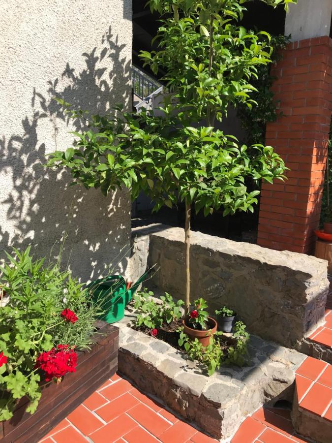 Apartments Ela Неум Экстерьер фото
